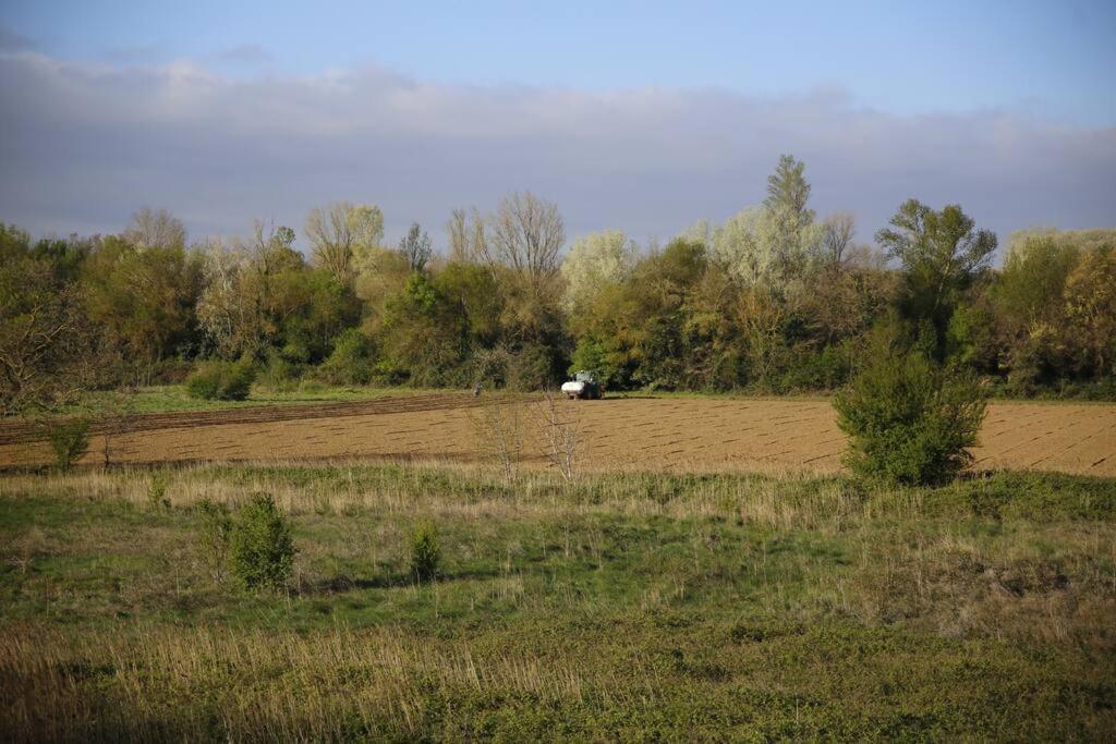 Domaine Villecarla Villedubert Bagian luar foto