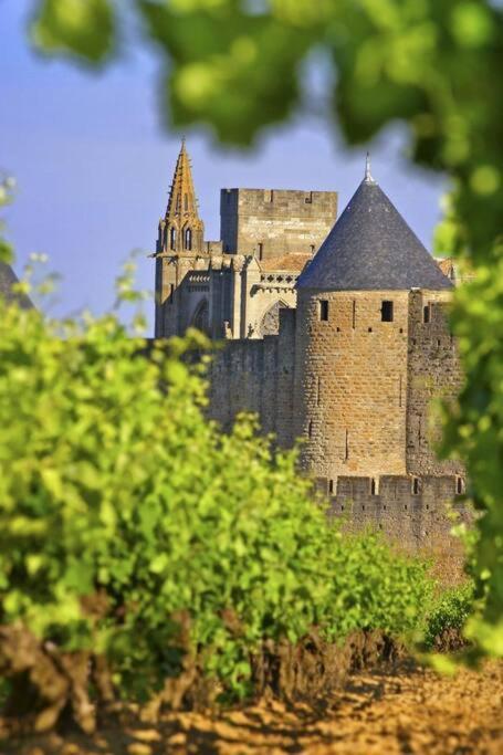 Domaine Villecarla Villedubert Bagian luar foto