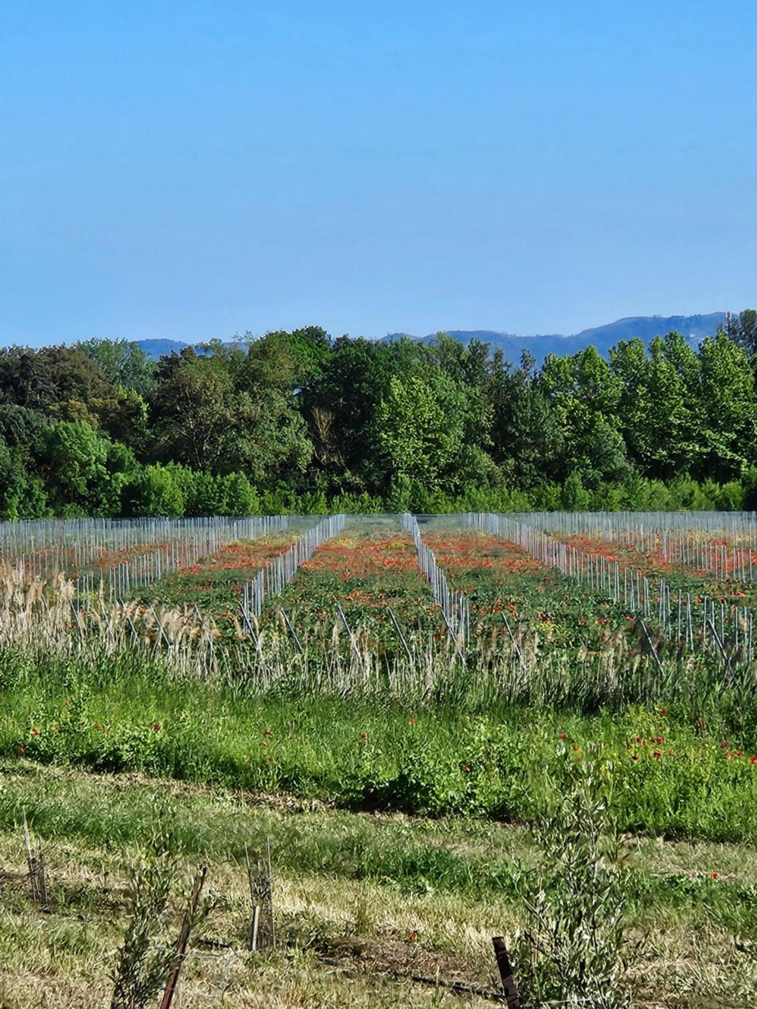 Domaine Villecarla Villedubert Bagian luar foto